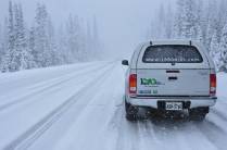 A valente Fiona enfrenta a neve do North Cascades National Park, no estado de Washington, noroeste dos  Estados Unidos